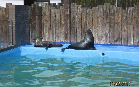 Grafika #4: Wycieczka do Sea Park