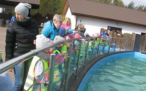 Grafika #5: Wycieczka do Sea Park