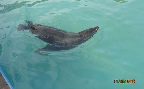 Grafika #6: Wycieczka do Sea Park