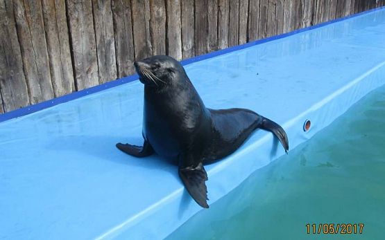 Grafika #7: Wycieczka do Sea Park