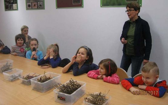 Grafika #1: Ptaki jak ludzie, ludzie jak ptaki-zajęcia edukacyjne