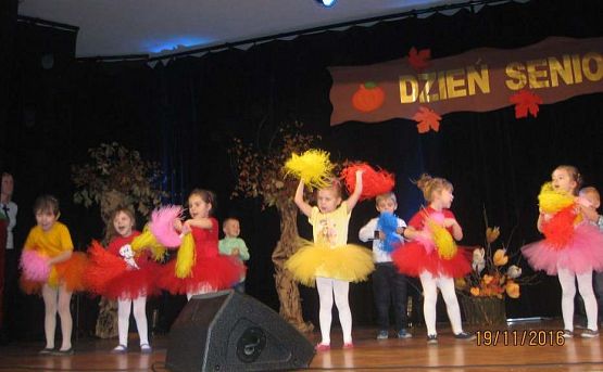 Grafika #8: Dzień seniora 19.11.2016 r.