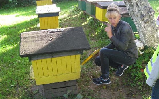 Grafika #0: Wycieczka do pasieki