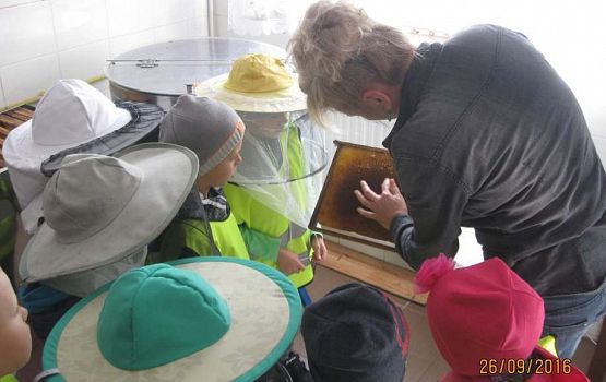 Grafika #10: Wycieczka do pasieki