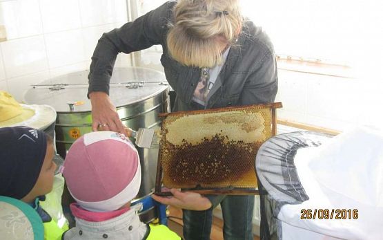 Grafika #11: Wycieczka do pasieki