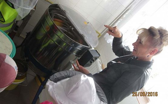 Grafika #12: Wycieczka do pasieki