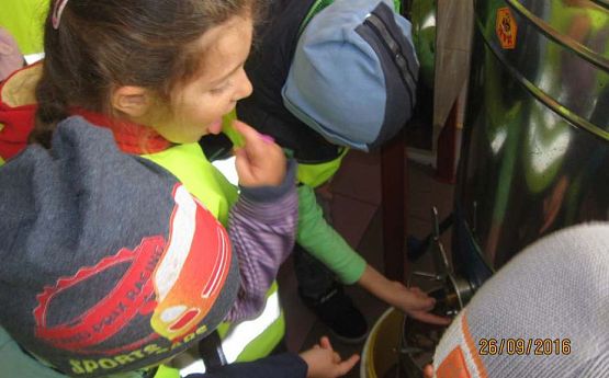 Grafika #13: Wycieczka do pasieki