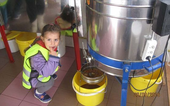 Grafika #15: Wycieczka do pasieki