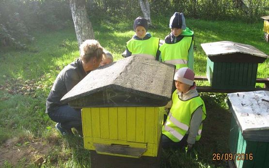 Grafika #4: Wycieczka do pasieki