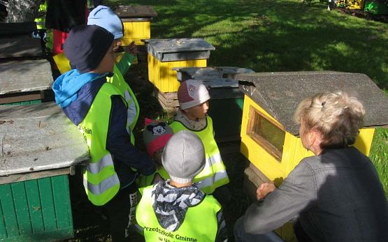 Grafika #5: Wycieczka do pasieki