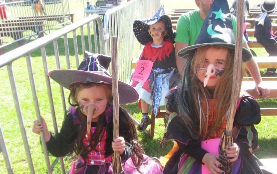 Grafika #35: Dni Gminy Wicko 16.07.2016r.