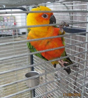 Grafika #9: Wycieczka do Parku Edukacyjnego w Tuchlinie 17.06.2016r.