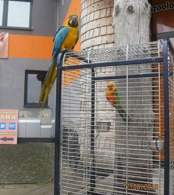 Grafika #12: Wycieczka do Parku Edukacyjnego w Tuchlinie 17.06.2016r.