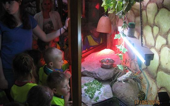 Grafika #25: Wycieczka do Parku Edukacyjnego w Tuchlinie 17.06.2016r.