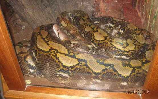 Grafika #27: Wycieczka do Parku Edukacyjnego w Tuchlinie 17.06.2016r.