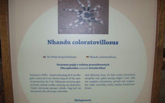 Grafika #31: Wycieczka do Parku Edukacyjnego w Tuchlinie 17.06.2016r.