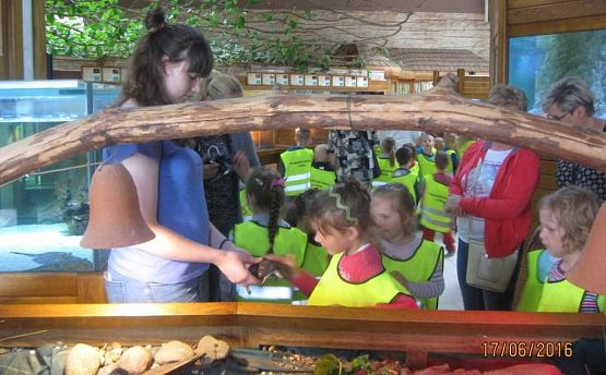 Grafika #33: Wycieczka do Parku Edukacyjnego w Tuchlinie 17.06.2016r.
