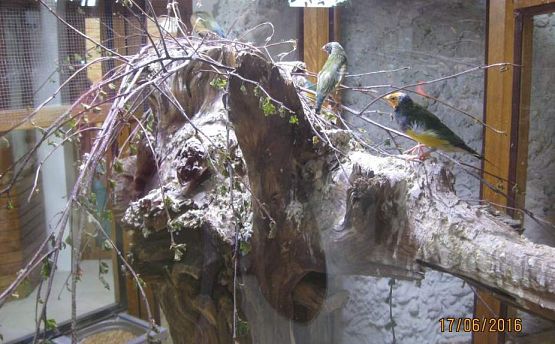 Grafika #40: Wycieczka do Parku Edukacyjnego w Tuchlinie 17.06.2016r.