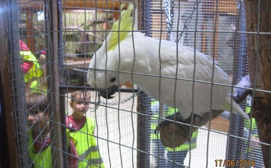 Grafika #41: Wycieczka do Parku Edukacyjnego w Tuchlinie 17.06.2016r.