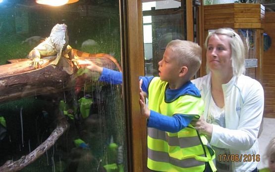 Grafika #42: Wycieczka do Parku Edukacyjnego w Tuchlinie 17.06.2016r.