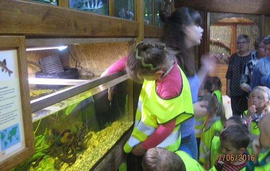 Grafika #44: Wycieczka do Parku Edukacyjnego w Tuchlinie 17.06.2016r.