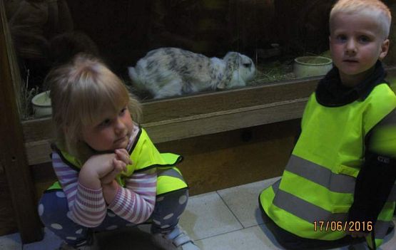 Grafika #45: Wycieczka do Parku Edukacyjnego w Tuchlinie 17.06.2016r.