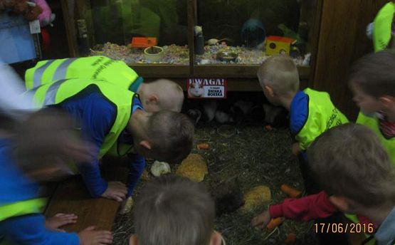 Grafika #48: Wycieczka do Parku Edukacyjnego w Tuchlinie 17.06.2016r.