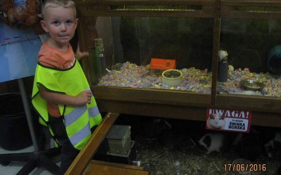 Grafika #49: Wycieczka do Parku Edukacyjnego w Tuchlinie 17.06.2016r.