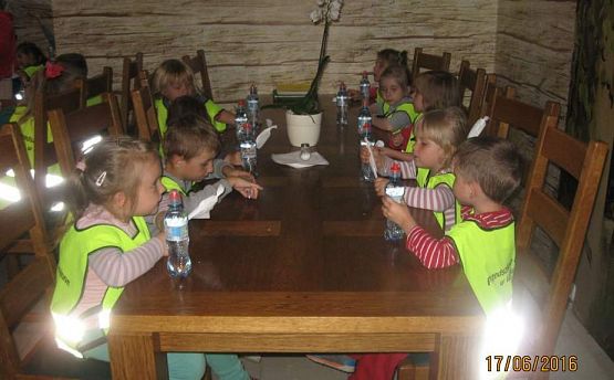 Grafika #53: Wycieczka do Parku Edukacyjnego w Tuchlinie 17.06.2016r.