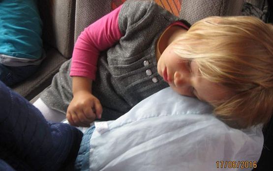 Grafika #58: Wycieczka do Parku Edukacyjnego w Tuchlinie 17.06.2016r.