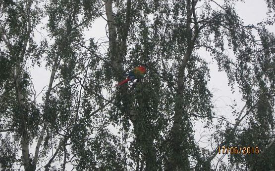 Grafika #6: Wycieczka do Parku Edukacyjnego w Tuchlinie 17.06.2016r.