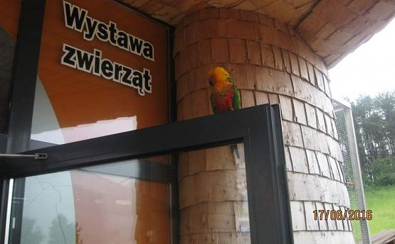 Grafika #8: Wycieczka do Parku Edukacyjnego w Tuchlinie 17.06.2016r.