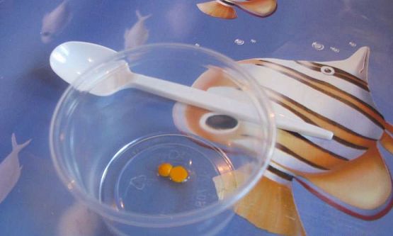 Grafika #9: Zajęcia-NIESPODZIANKI 13.05.2016r.