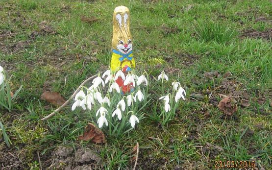 Grafika #2: Szukamy Wielkanocnego Zajączka 23.03.2016r.