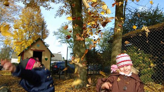 Grafika #23: Zabawy z jesienią 