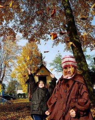 Grafika #24: Zabawy z jesienią 