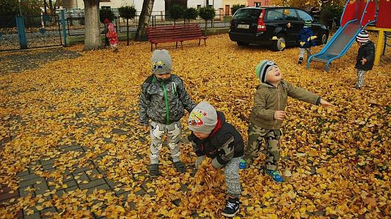 Grafika #8: Zabawy z jesienią 