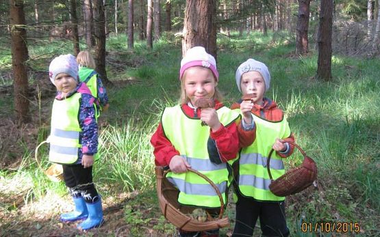 Grafika #9: Grzybobranie 01.10.2015 r.