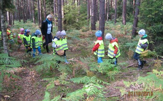 Grafika #10: Grzybobranie 01.10.2015 r.