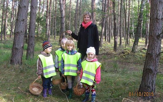 Grafika #11: Grzybobranie 01.10.2015 r.