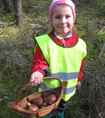 Grafika #13: Grzybobranie 01.10.2015 r.