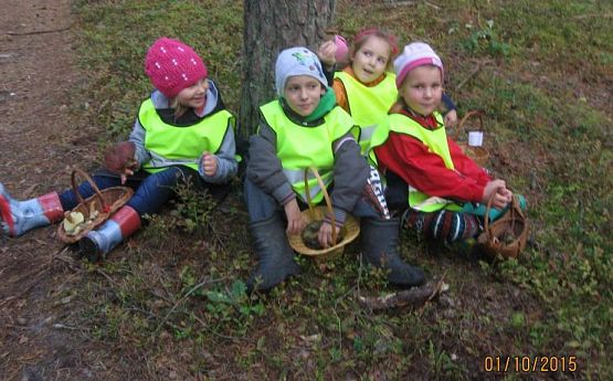 Grafika #14: Grzybobranie 01.10.2015 r.