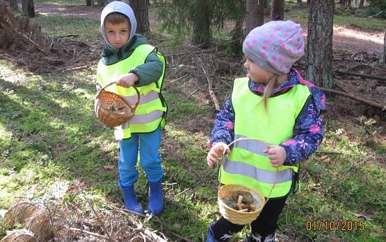 Grafika #15: Grzybobranie 01.10.2015 r.