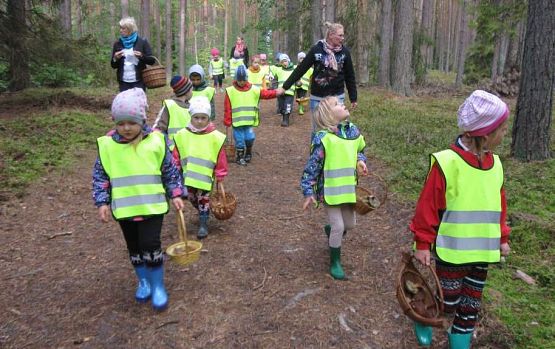 Grafika #16: Grzybobranie 01.10.2015 r.