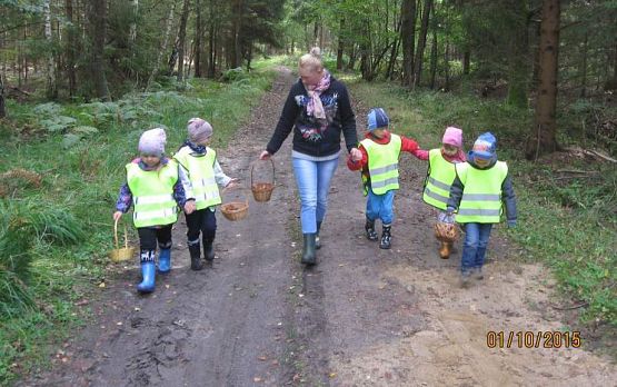 Grafika #17: Grzybobranie 01.10.2015 r.