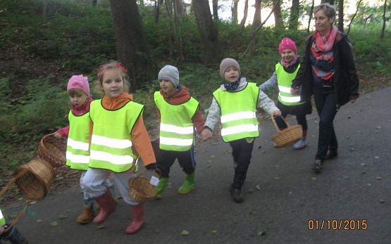 Grafika #1: Grzybobranie 01.10.2015 r.