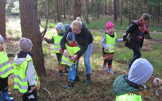 Grafika #4: Grzybobranie 01.10.2015 r.