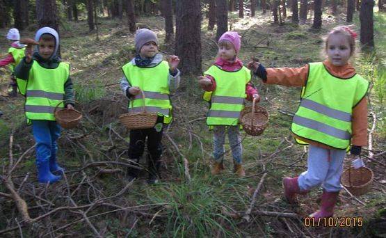 Grafika #6: Grzybobranie 01.10.2015 r.