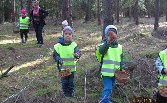 Grafika #7: Grzybobranie 01.10.2015 r.