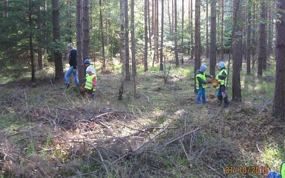 Grafika #8: Grzybobranie 01.10.2015 r.